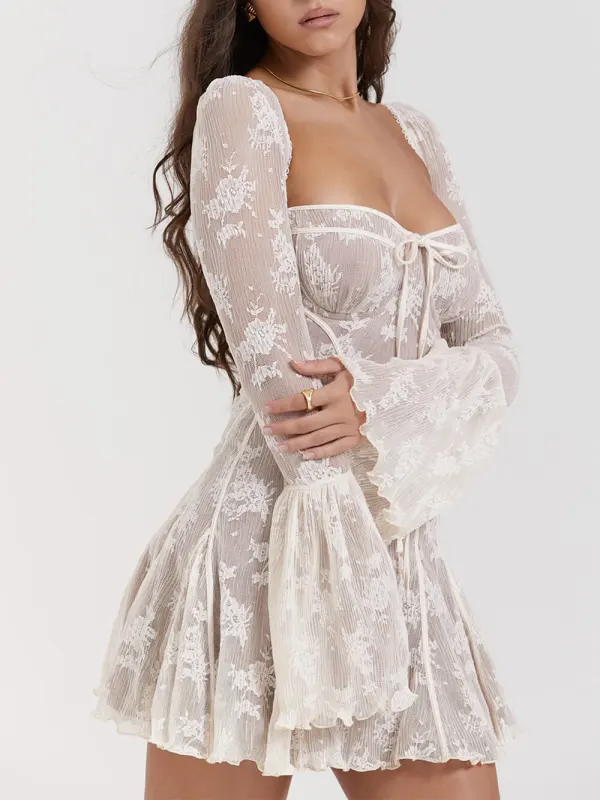 Vintage Lace Corset Mini Dress