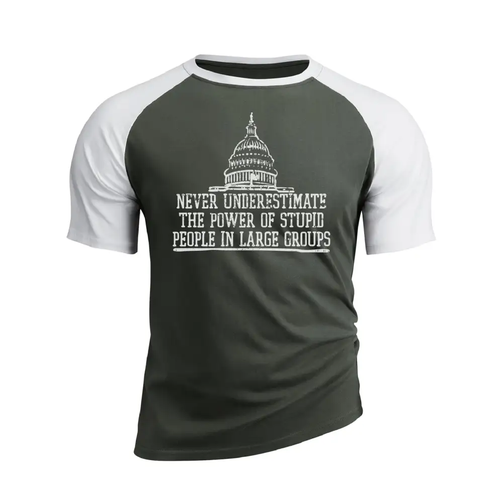 THE POWER OF STUPID PEOPLE RAGLAN GRAPHIC TEE