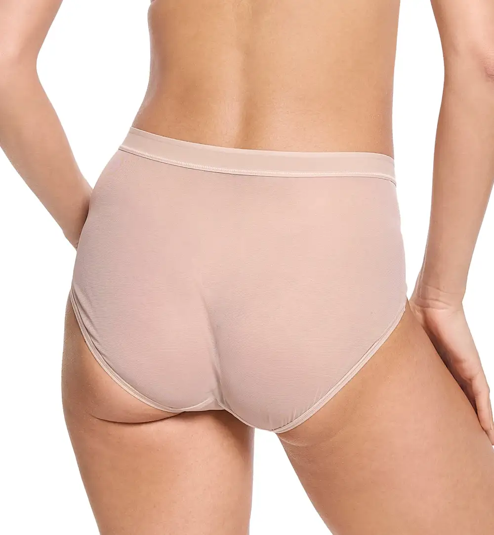 Classic High-Waist Mesh French Brief Panty