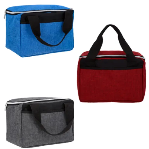 Compact Insulated Cooler Bag