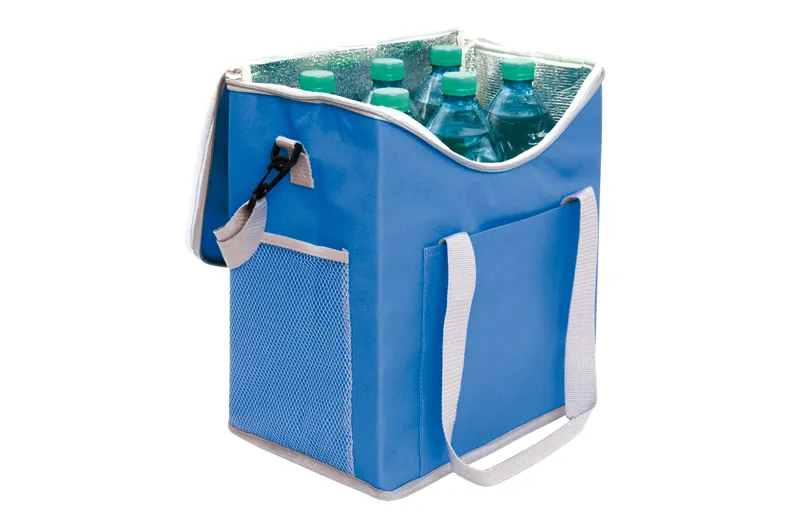 Large Insulated Lunch Cooler Bag