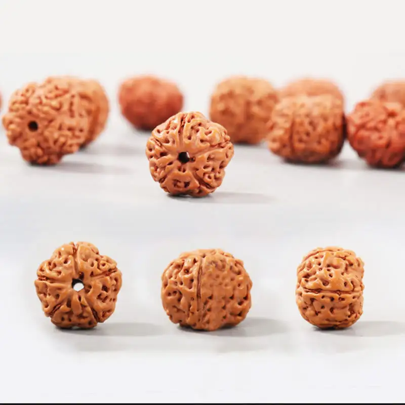 Rudraksha Bodhi Seed Auspiciousness Bracelet