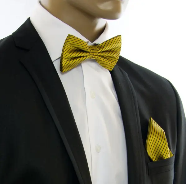Silk Bow Tie Set