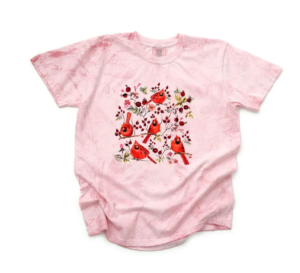 Songbird Graphic Garment Dyed Tee