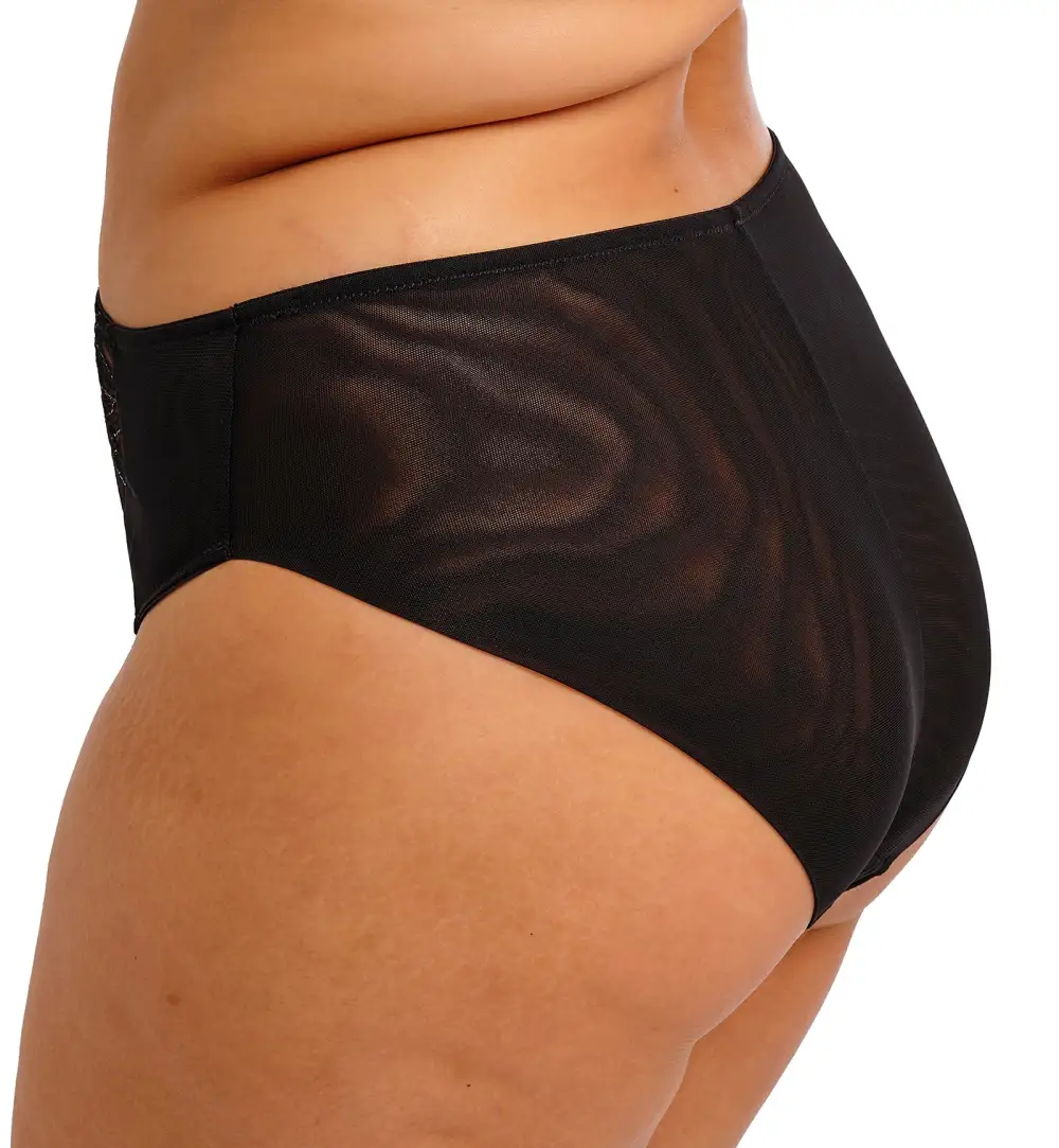 Classic High-Waist Mesh Embroidered Full-Coverage Brief Panty