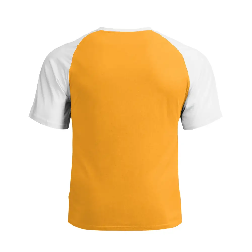 THE POWER OF STUPID PEOPLE RAGLAN GRAPHIC TEE