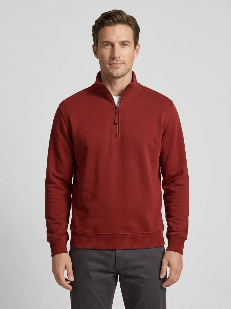 Men's Versatile Minimalist Textured Embroidered Emblem Stand-Collar Quarter-Zip Sweatshirt