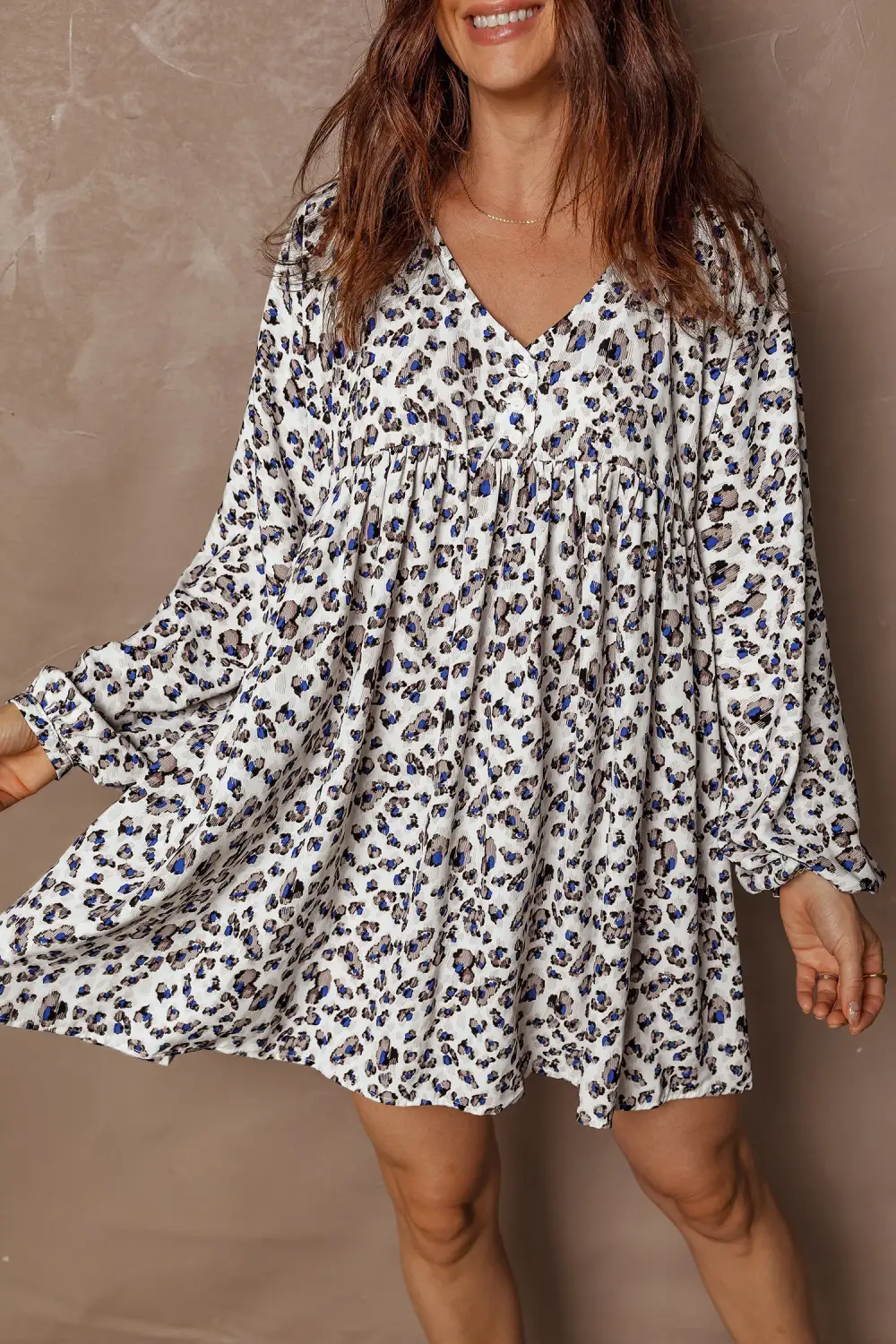 Animal Print V Neck Long Sleeve Mini Dress