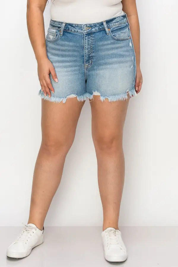 High Rise Distressed Frayed Hem Denim Shorts