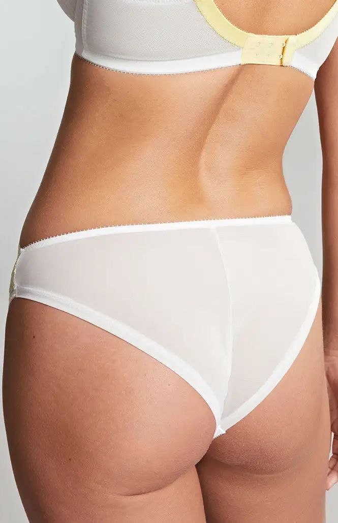 Brazilian Lace Panty