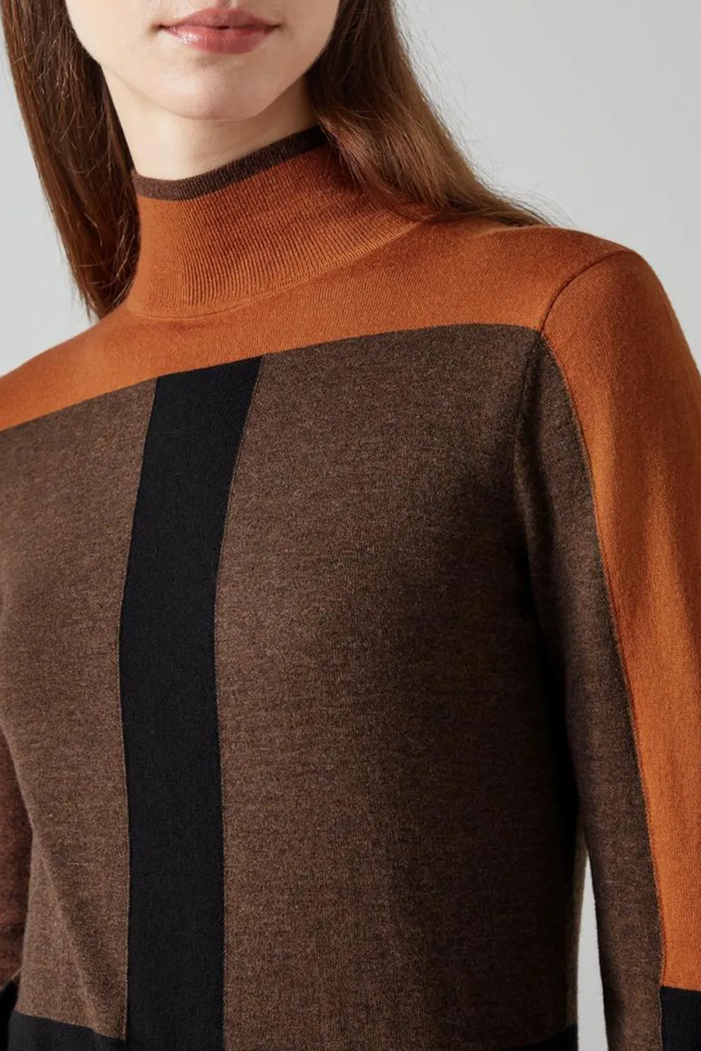 Brown Toned Color Blocked Turtleneck Knit Top