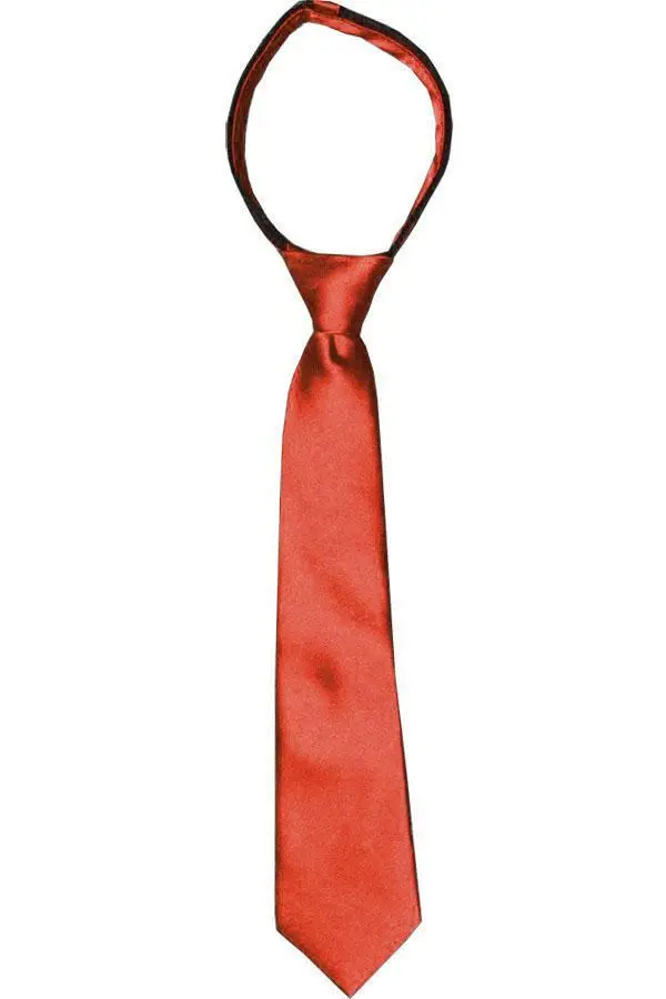 Elegant Solid Boys' Zipper Tie
