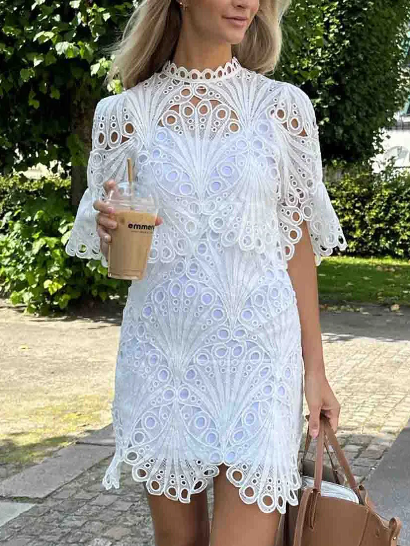 Peacock Pattern Openwork Lace Exquisite Mini Dress
