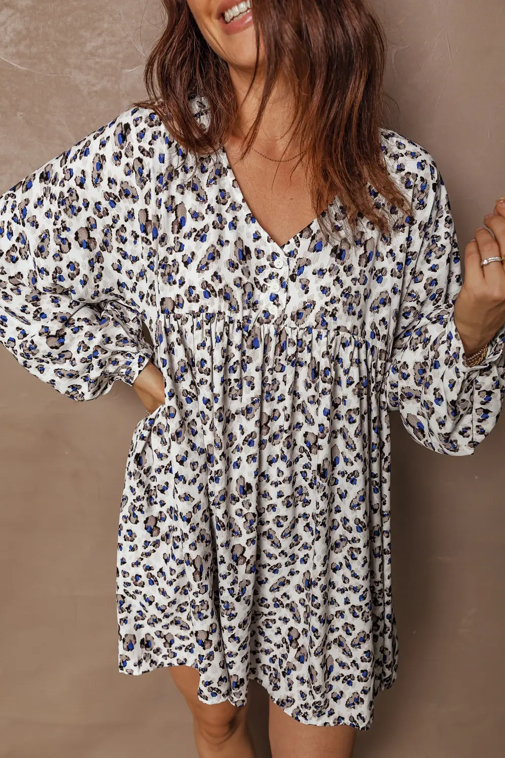 Animal Print V Neck Long Sleeve Mini Dress