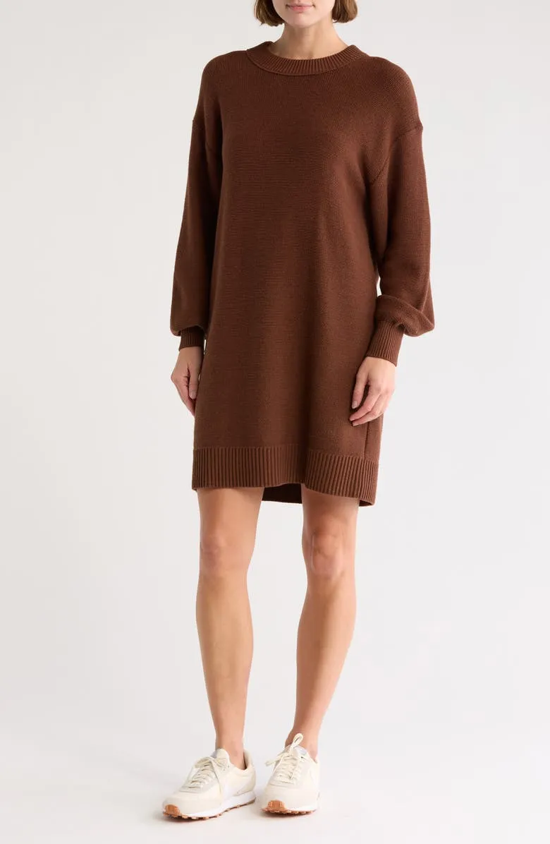 Crew Sweater Dress