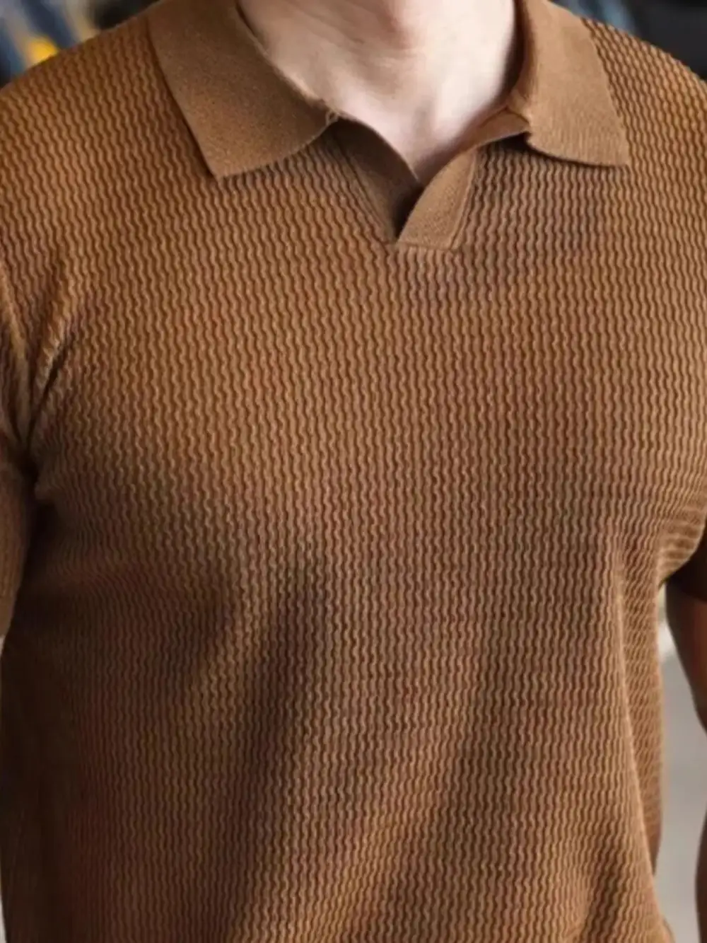 Textured Ribbed Knit Polo Shirt