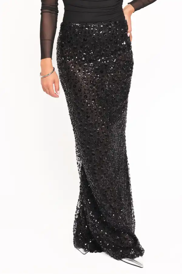 Sheer Mesh Sequin Skirt