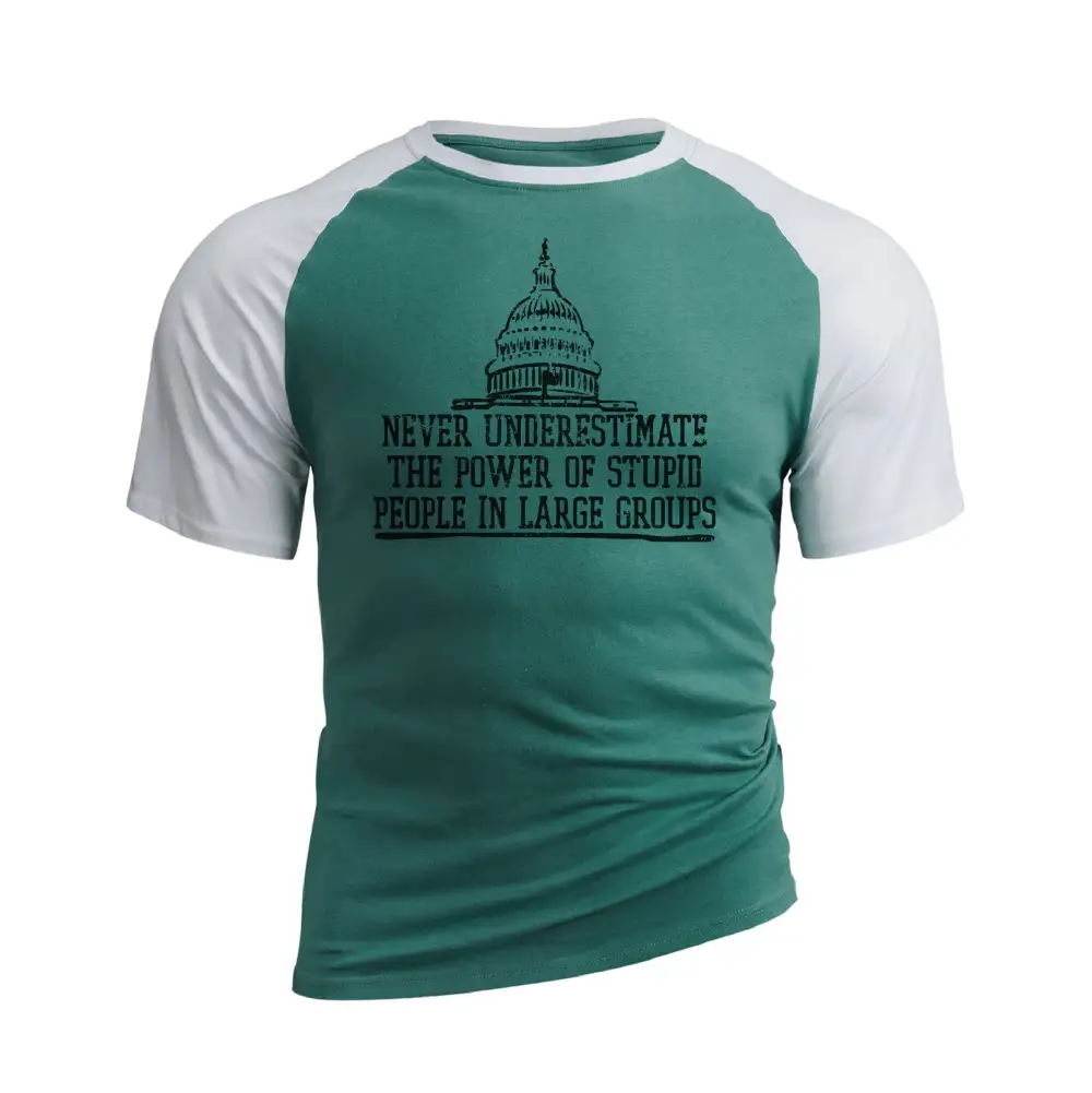 THE POWER OF STUPID PEOPLE RAGLAN GRAPHIC TEE