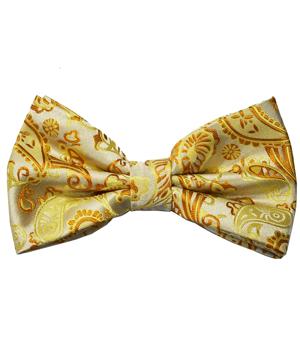 Smart Paisley Polyester Pre-Tied Bow Tie