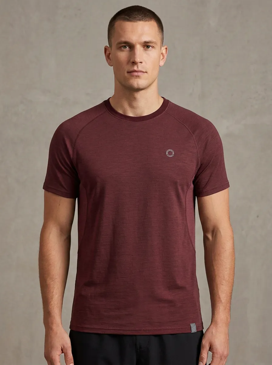 Men's Sport-Inspired Emblem Athletic Mesh Textured Raglan Performance Sport Crewneck T-Shirt