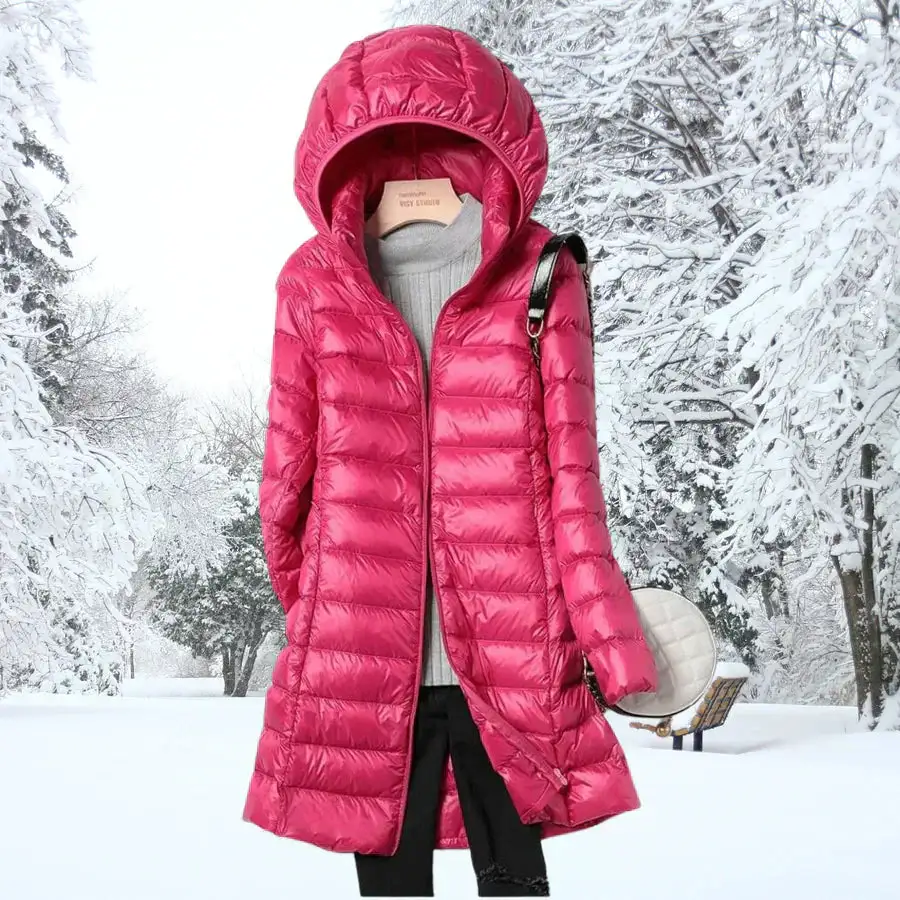 Polished Versatile Everyday Jacket