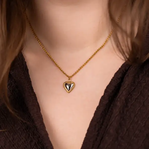 Two-Tone Heart Necklace Necklace